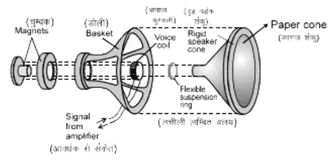 ध्वनिवर्द्धक यंत्र के भाग -    चित्र में दिखाए अनुसार ध्वनिवर्द्धक यंत्र में स्थायी चुंबक, डोली, आवाज कुंडली, लचीली लम्बित वलय तथा दृढ़ ध्वनिवर्द्धक (स्पीकर) शंकु होते है।   ध्वनिवर्द्धक का सिद्धांत        एक हल्की आवाज कुंडली जड़ी रहती है जिससे यह शक्तिशाली स्थायी चुंबकों के चुंबकीय क्षेत्र के अंदर स्वतंत्र रूप से गति कर सकती है।  कागज शंकु आवाज कुंडली से जुड़ा रहता है तथा यह लचीली दफ्ती से ध्वनिवर्द्धक (स्पीकर सहारे के बाहरी वलय से जुड़ा रहता है।  क्योंकि स्पीकर शंकु के लिए एक निश्चित साम्यावस्था स्थिति होती है तथा दफ्ती संरचना में प्रत्यास्थता है, अतः स्प्रिंग से जुड़े द्रव्यमान की तरह एक स्वतंत्र शंकु अनुनाद आवृति अवश्य होती है।  शंकु तथा आवाज कुंडली के द्रव्यमान तथा कड़ेपन को व्यवस्थिति करके आवृति ज्ञात की जा सकती है।       कार्यविधि : रेडियो, कुंडली से तेजी से परिवर्तित धारा लेता ह।  धारा बोलने के कम्पन्न का अनुसरण करती है तथा विद्युत् चुंबकीय बल धारा परिवर्तन का अनुसरण करता है तथा कागज शंकु को धक्का देता है। अंत में ध्वनिवर्द्धक यंत्र के सामने की हवा शंकु की गति का अनुसर करती हुई लम्पन्न करती है तथा ध्वनि तरंग श्रोता तकत होती है।  ध्वनि वर्द्धक यंत्र का सिद्धांत है -