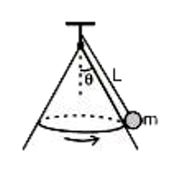 एक छोटे आकर के द्रव्यमान m को एक द्रव्यमानहीन रस्सी (लम्बाई L) के द्वारा एक स्थिर ठोस शंकु (जिसकी सतह घर्षण रहित है) से जोड़ा जाता है जिसकी अक्ष ऊर्ध्वाधर है। शंकु के शीर्ष पर अर्धकोण theta है। यदि द्रव्यमान m एक क्षैतिज वृत्त में चाल v के साथ गति करता है तो v का अधिकतम मान क्या होना चाहिए ताकि यह शंकु के सम्पर्क में ही रहे। (g गुरुत्व के कारण त्वरण है))
