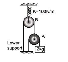 2 kg  द्रव्यमान चित्रानुसार  लटका  हुआ है।  निकाय  ऊर्ध्वाधर  तल में साम्यावस्था   में है।  माना  सभी घिरनियाँ  द्रव्यमानहीन है।  स्प्रिंग  का बल नियतांक 100N/m    है यदि स्प्रिंग  में प्रसार  (x)/(10)   मीटर  हो तो x  का मान  ज्ञात  करो ? ( g = 10 m//s^(2))
