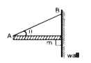 m द्रव्यमान की एक रस्सी  AB तथा दीवार के मध्य घर्षण द्वारा लटकी हुई है।  तब दीवार के कारण चढ़ पर घर्षण बल है - (g= गुरुत्व का कारण त्वरण )