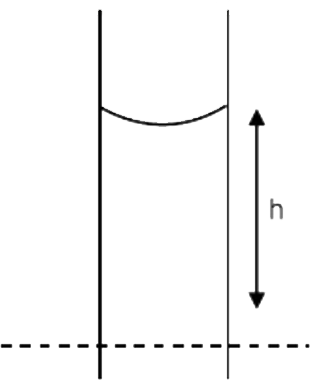 mass m of a liquid rises inside a capillary of radius r. The mass of fluid that rises when a capillary of radius 2r is used is