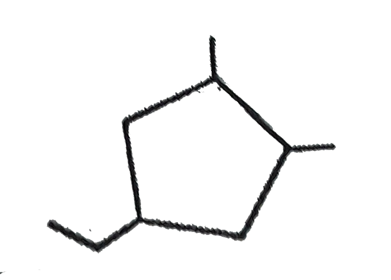Select the correct IUPAC name of the following compound.