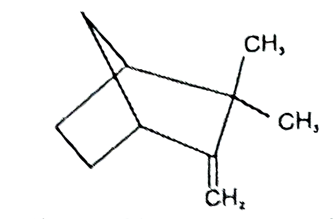 Camphene is constituent of pine oil. It has following structure.      When camphene is ozonolysed (O3//Zn//H2O) to gives number of products is :
