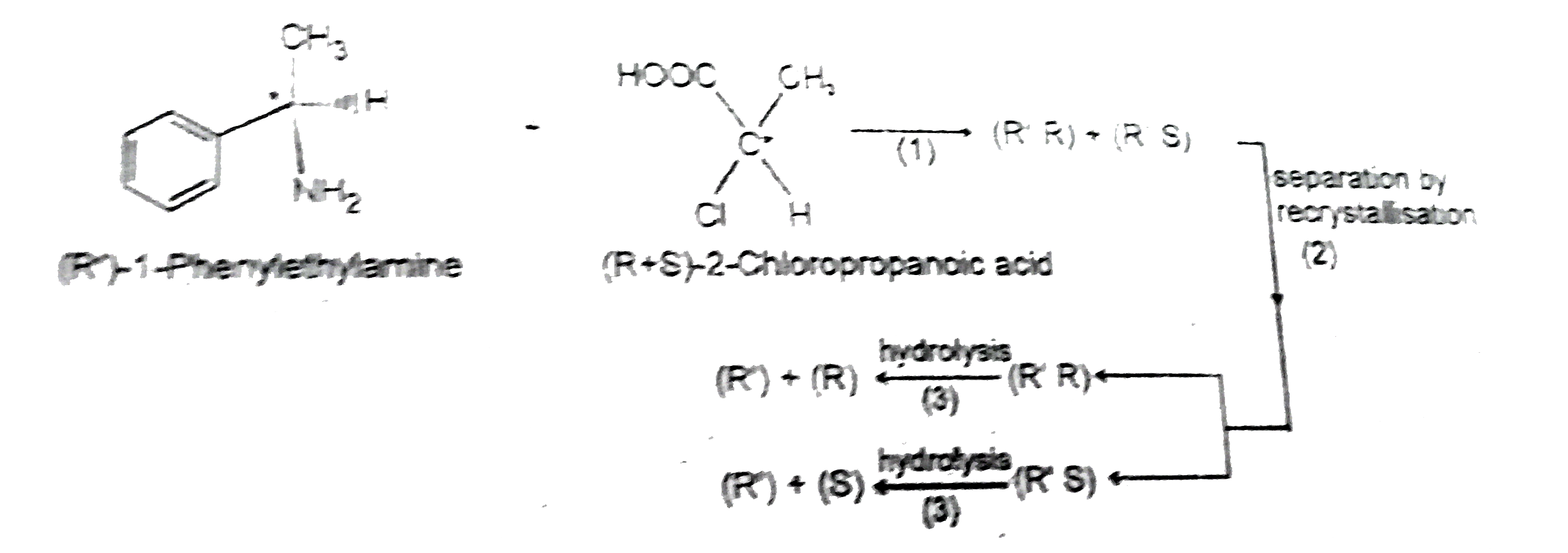 Structural isomers have different covalent linkage of atoms.Steroisomers are compounds that have same sequence of covalent bonds but differ in the relative positions of their atoms in space.Geometrical and optical isomers are the two important types of configurational isomers.   The compound with double bonds or ring structure have restricated rotation.so exist in two geometrical forms.The double bonds in the larger rings (ring size 10 carbon or large) can also cause geometrical isomerism. The optical isomers rotate the plane of plane-polarised light.A sp^3-hybridised carbon atom bearing four different types of substituents is called an asymmetric centre or chiral centre.A chiral object or molecule cannot be superimposed on its mirror image.Stereoisomers that are mirror images of each other are called enantiomers.The stereoisomers that are not mirror images of each other are called diastereomers.Diastereomers have different physical properties.   A racemic mixture is optically inactive and contains equal amount of both the enantiomers.Resolution refers to method of separating a racemic mixture into two pure enantiomers.A meso compound is an optically inactive stereoisomers, which is achiral due to the presence of an internal plane of symmetry within the molecule.   Observe the following reaction      Which statement is not correct about the above observation.
