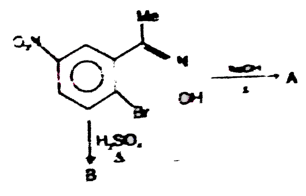 ocr_image