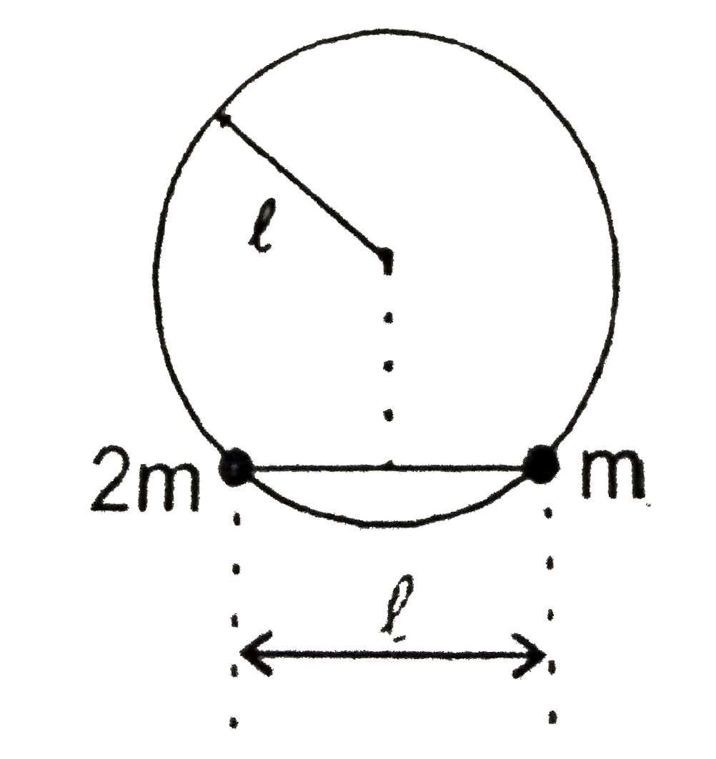 Two beads of mass 2m and m, connected by a rod of length l and of negligible mass are free to move in a smooth vertical circular wire frame of radius l as shown. Initially the system is held in horizontal position ( Refer figure )       If the rod is replaced by a massless string of length l and the system is released when the string is horizontal then :