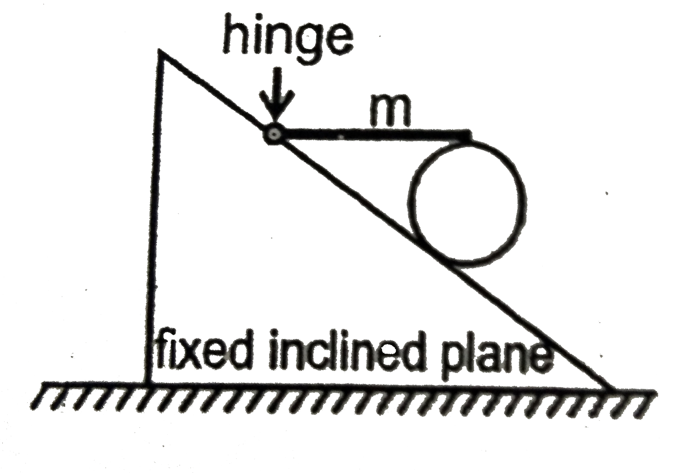 A horizontal uniform rod of mass 'm' has its left end hinged to the fixed incline plane, while its right end rrests on the top of a uniform cylinder of mass 'm' which in turn is at rest on the fixed inclined plane as shown. The coefficient of friction between the cylinder and rod, and between the cylinder and inclined plane, is sufficient to keep the cylinder at rest.      The magnitude of normal reaction exerted by the rod  on the cylinder is