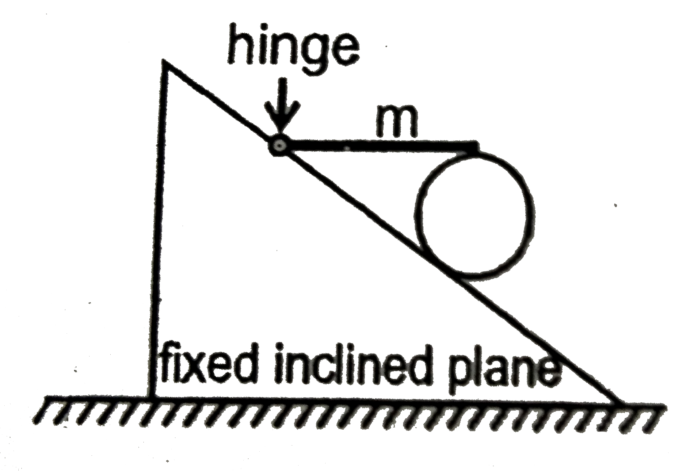 A horizontal uniform rod of mass 'm' has its left end hinged to the fixed incline plane, while its right end rrests on the top of a uniform cylinder of mass 'm' which in turn is at rest on the fixed inclined plane as shown. The coefficient of friction between the cylinder and rod, and between the cylinder and inclined plane, is sufficient to keep the cylinder at rest.      The ratio of magnitude of frictional force on the cylinder due to the rod and the magnitude of frictional force on the cylinder due to the inclined plane is :