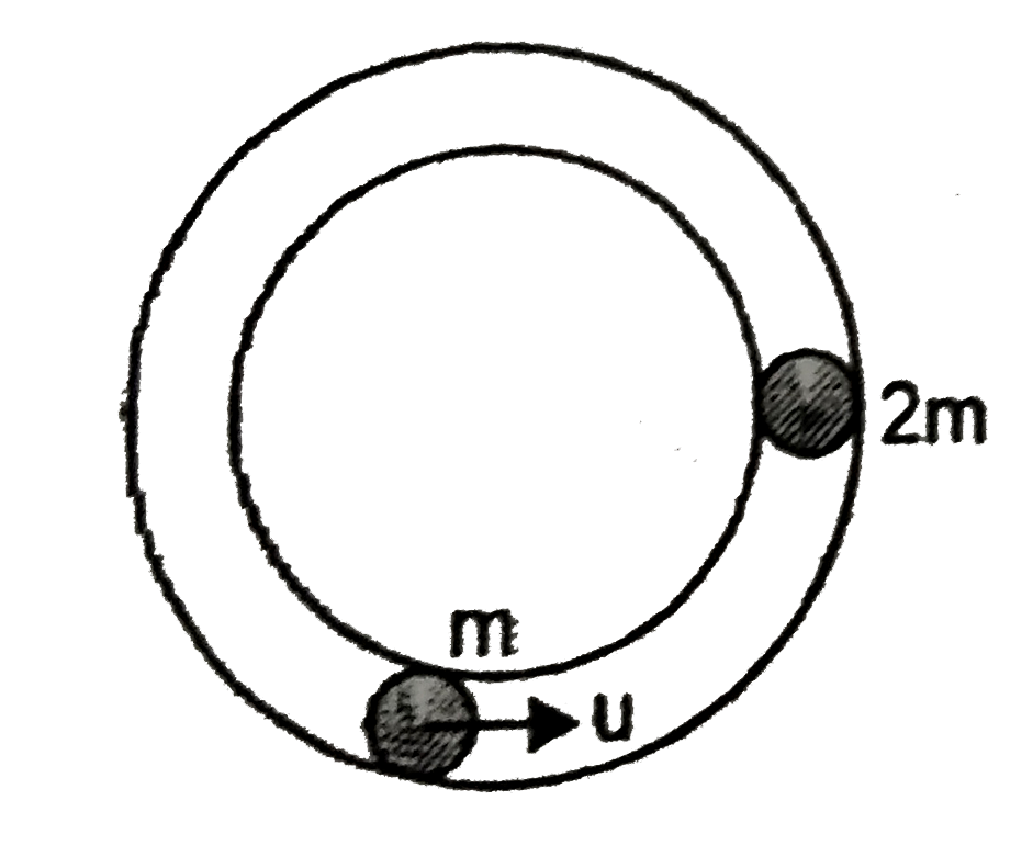Two masses 'm' and '2m' are placed in fixed horizontal circular smooth hollow tube as shown. The mass 'm' is moving with speed 'u' and the amss '2m' is stationary . After their first collision, the time elapsed for next collision. ( coefficient of restitution e=1//2)