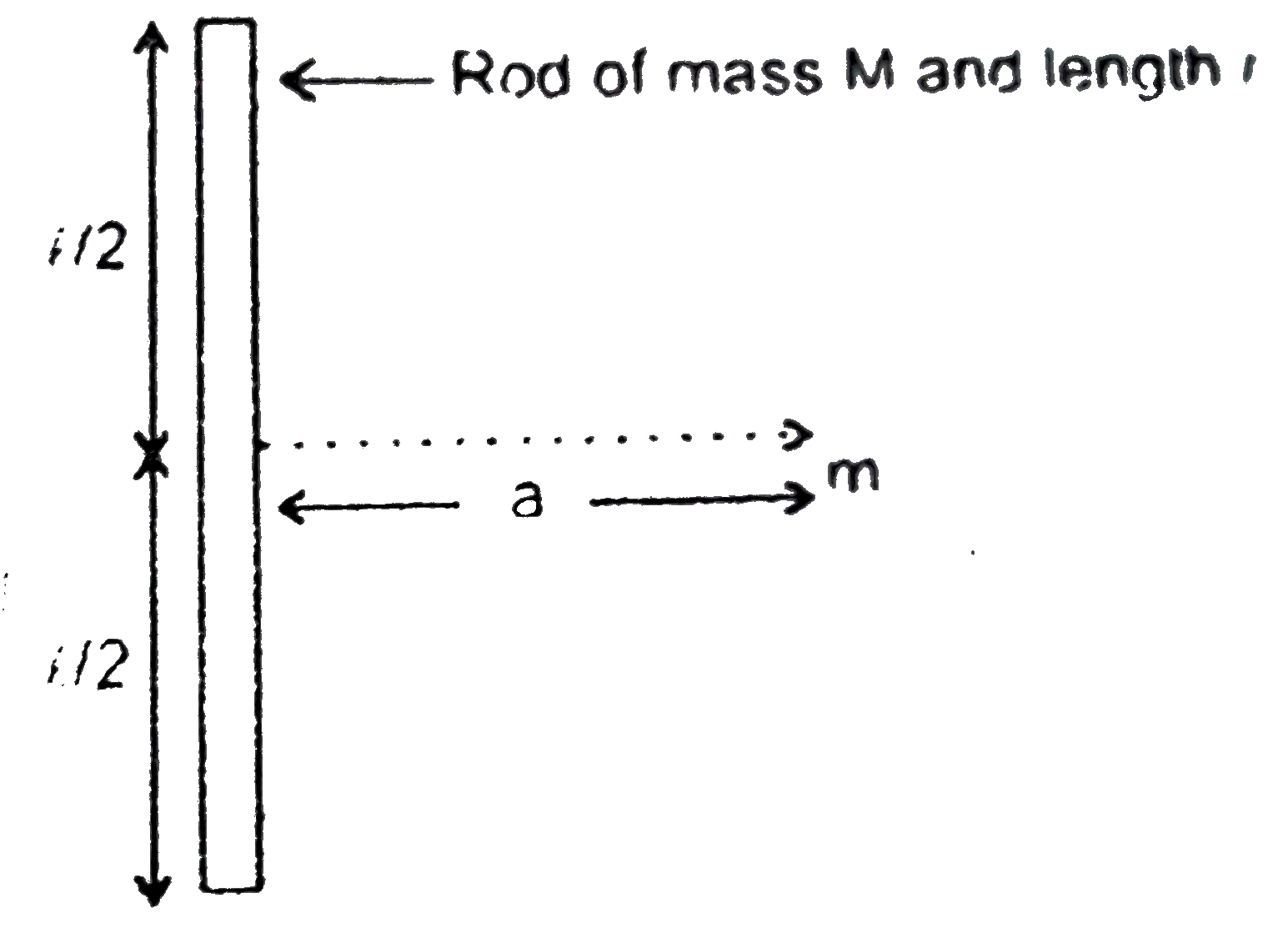 Calculate the force exerted by point mass m on rod of uniformly distributed mass M and length l (Placed as shown in figure)    .