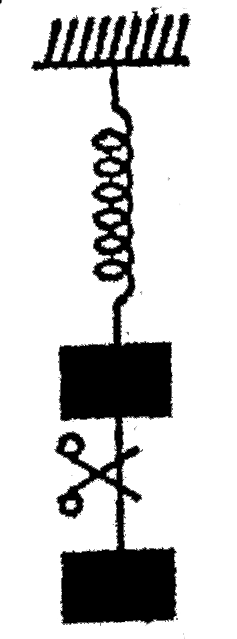 System shown in figure is in equilibrium and at rest. The spring and string are massless Now the string is cut. The acceleartion of mass 2m and m just after the string is cut will be