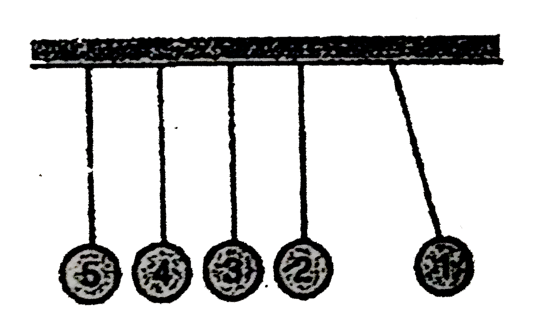 Five identical elastic balls are so suspended with strings of equal length in a row that the distance between adjacent balls are very small. If the extreme right ball is moved aside and released then