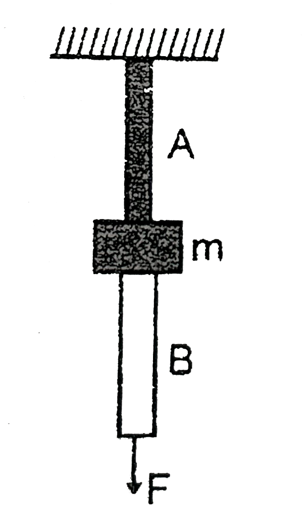 The wires A and B shown in the figur, are made of the same material and have radii r(A) and r(B). A block is mass m kg is find between them : If the force F is mg//3, one of the wires breaks.