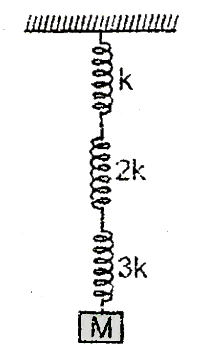 Spring mass system is shown in figure. Find the elastic potential energy stored in each spring when block is at its mean position. Also find the time period of vertical oscillations. The system is in vertical plane.