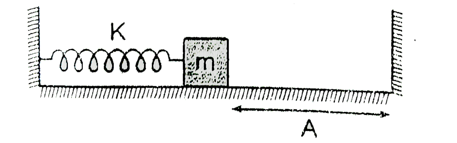 In the figure shown the spring is relaxed and mass m is attached to the spring. The spring is compressed by 2A and released at t = 0. Mass m collides with the wall and loses two third of its kinetic energy and returns. Starting from t = 0, find the time  taken by it to come back to rest again (instant at which spring is given under  maximum compression). Take sqrt(m)/(k) = (12)/(pi)