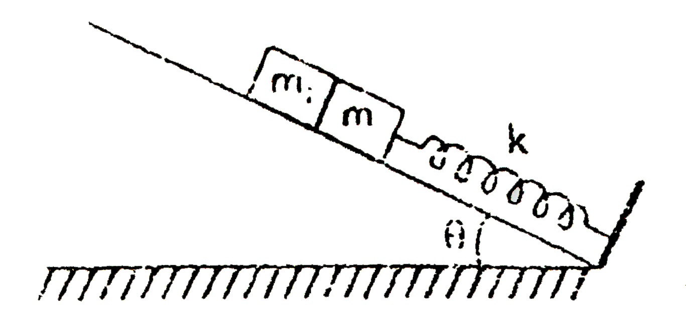 Spring of spring constant k is attached with a block of mass m(1), as shown in figure. Another block of mass m(2) is placed angainst m(1), and both mass masses lie on smooth incline plane.      Find the compression in the spring when lthe system is in equilibrium.