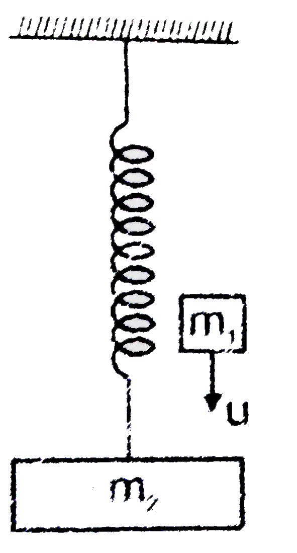 Block of mass m(2) is in equilibrium and at rest. The mass m(1) moving with velocity u vertically downwards collids with m(2) and sticks to it. Find the energy of oscillation.