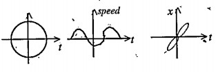 From the following graph which are not one dimensional motion. Explain.