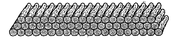 200 logs are stacked in the following maner:20 logs in the bottom row,19 in the next row,18 in the row next to it and so on (see figure).In how many rows the 200 logs are placed and how many logs are in the top row?