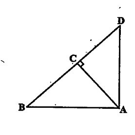 In Fig.6.53,ABD is a triangle right angle at A and AC|BD.Show that  (i)AB^2=BC.BD.