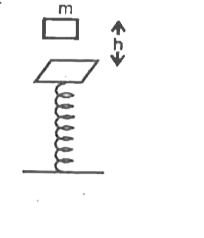 A body of mass m falls from a height h on a pan ( of negligible  mass ) of spring balance as shwon. The spring is ideal and has a spring contant k. Just after striking the pan, the body sticks with the pan and starts oscillatory motion in vertical direction. The velocity of the body at mean position will be
