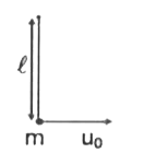 The bob hanging from a light string is projected horizontally with a speed u(0). In the subsequent upward motion of the bob in vertically plane