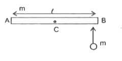 The rod of length l and mass m lies on a smooth floor. A ball of mass m moving horizotally with a speed u(0) striked one end of rod and stick to it. After the collision, the point on the rod that moves translationally ( without any rotation) in the previous direction of motion of the ball.      A. Is the centre of C of the rod. B. Is the left end A of the rod.   C. Lies at a distance l//4 to the left of  point C D. Lies at a distance l//4 to the right of point C.