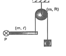 A rod of mass 'm' and length 'l' is hinged at point 'P ' and rod can rotate about higne point 'P' in vertical plane. Other end of rod is connected through a block by a string which is passed through pulley of mass 'm' and radius 'R' and there is no slipping between the pulley and the string as shown in figure. At t=0, system is released . Find the hinge reaction at P at t=0.