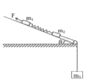 Two blocks of masses m(1) = 2kg and m(2) = 4kg are attached to two ends of a light ideal spring of force constant  k = 1000 N//m. The system is kept on a smooth inclined plane inclined at 30^(@) with horizontal. The block m(2) is attached to a light string whose other end is connected to a mass m(3) = 1 kg. A force F = 15N is applied on m(1) and the system is released from rest. Assume initially the spring is at relaxed position and the system is released from rest. Find the    (a) maximum extension of the spring.    (