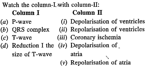 Match the following columns