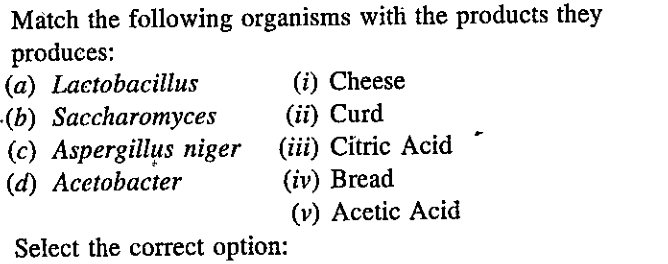 Match the following organisms with the products they produces