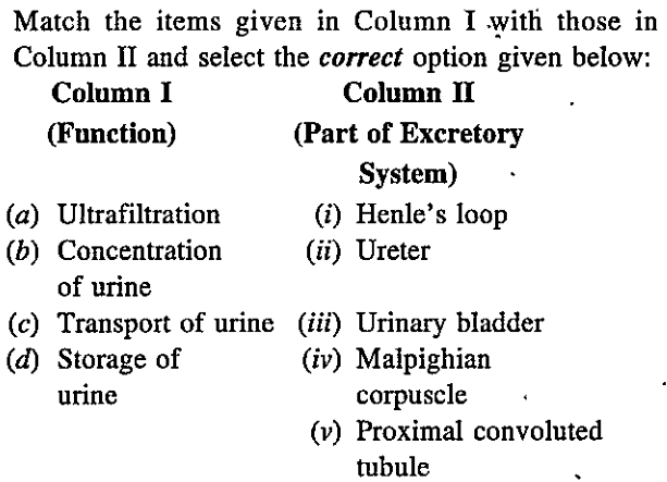 Match the following columns