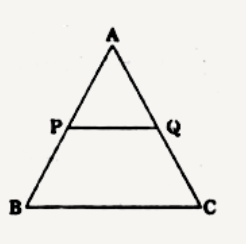 दिए चित्र में,  Delta ABC  के आधार BC के समान्तर रेखाखण्ड PQ खींचा गया है। यदि PQ:BC=1:3  तो AP और PB का अनुपात ज्ञात कीजिए।