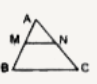 सम्मुख आकृति में MN||BC  है तथा  AM:MB=1:2 है तो (area(DeltaAMN))/(area(DeltaABC)) का मान बताइए