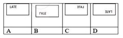 What is the lateral mirror image of LATE ?