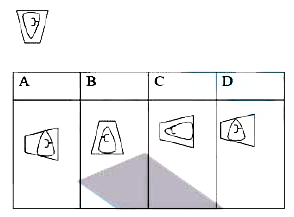 The pattern in which of the following options most closely resembles the pattern in the given image ?