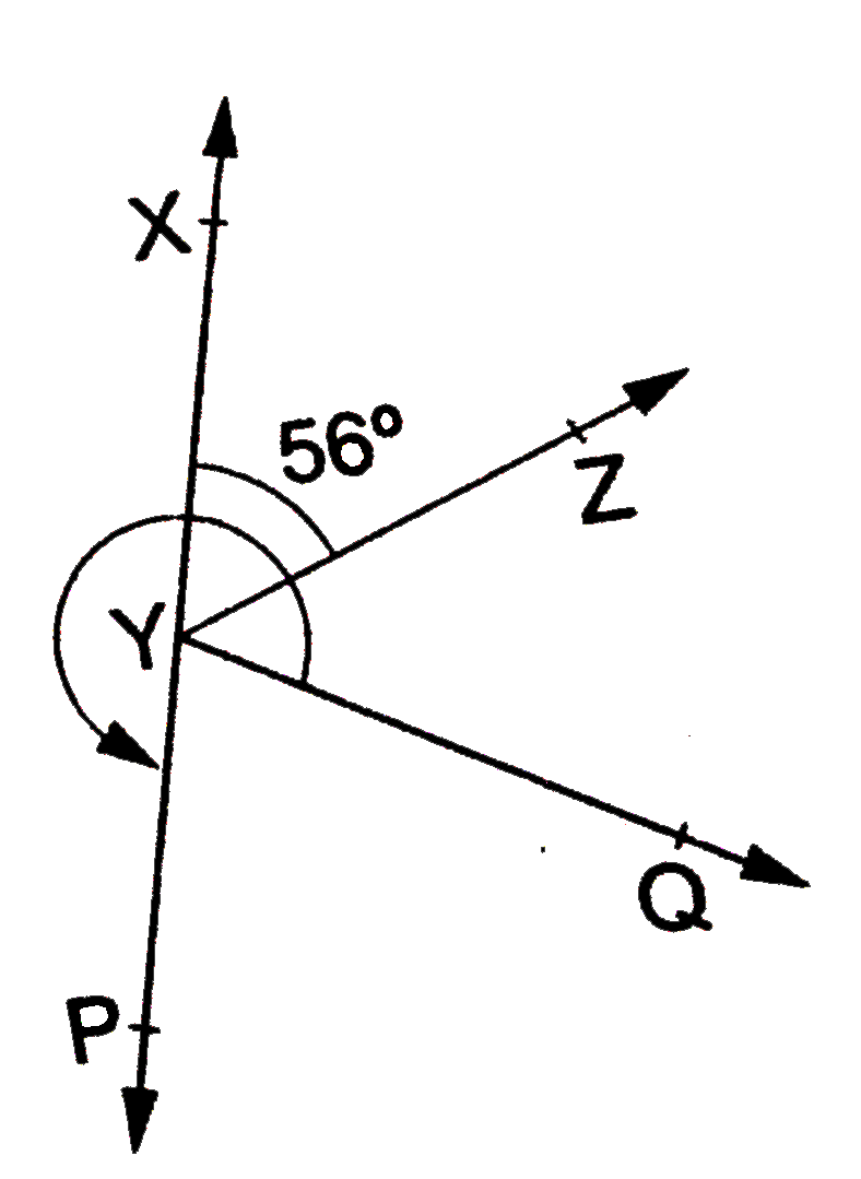 In the given figure, angle XYZ=56^(@) and XY is produced to a point P. If ray YQ bisects angleZYP, find angleXYQ and  reflex angleQYP.