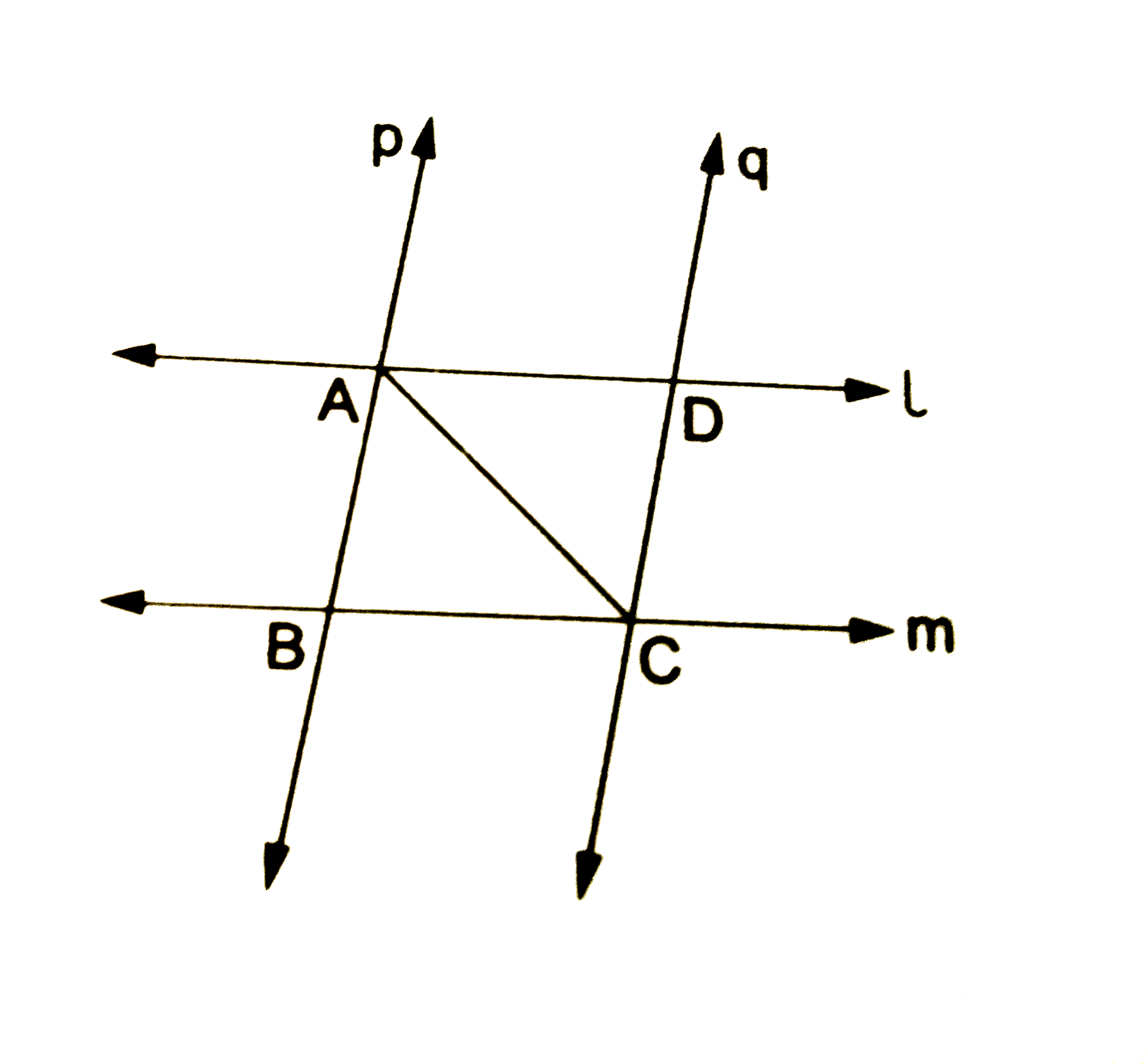 In thg given figure, two parallel lines l and m are intersected by two parallel lines p and q.   Show that DeltaABC~=DeltaCDA.