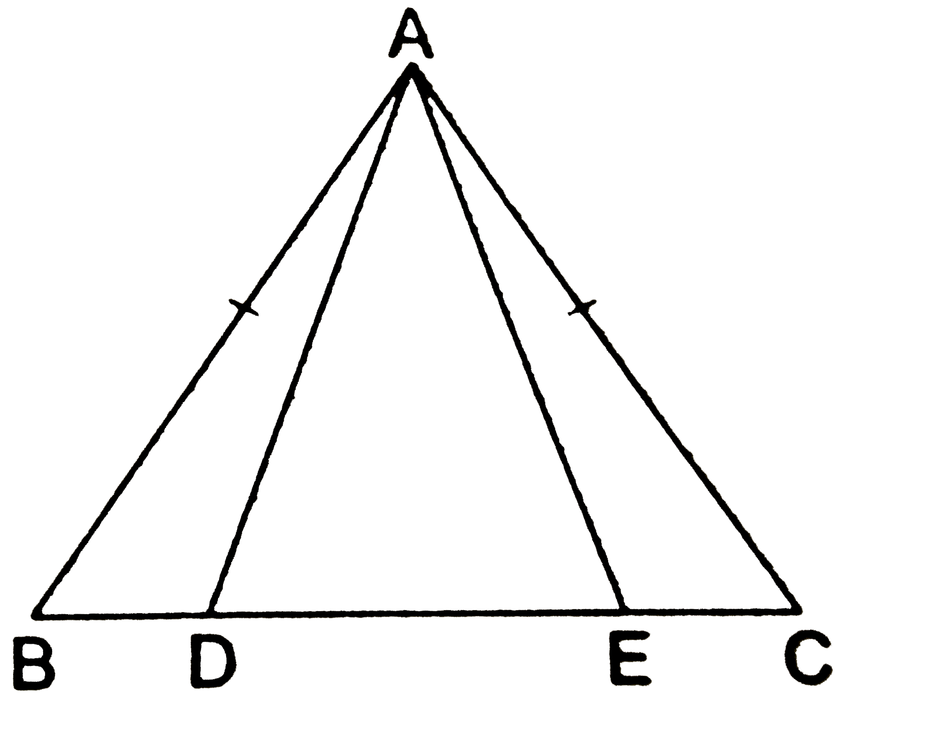 In an isosceles DeltaABC with AB = AC, D and E are point on BC such that BE = CD. Show that AD = AE.