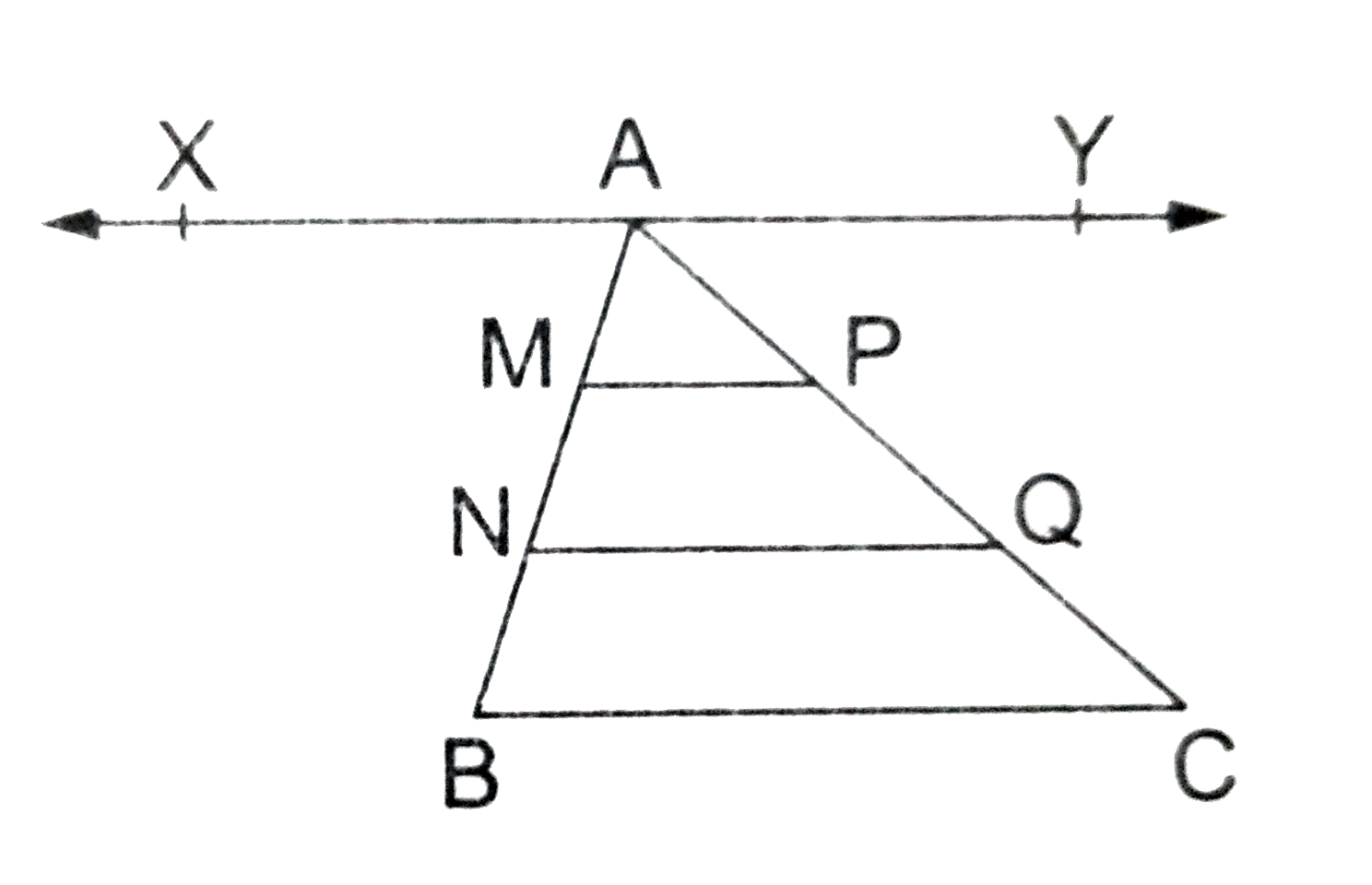 In the  adjoining figure, points M and N divide the side AB of triangle ABC   into  three equal parts. Line segments MP and NQ are both parallel to BC and meet AC in P and Q respectively. Prove that P and Q divide AC into three equal parts.