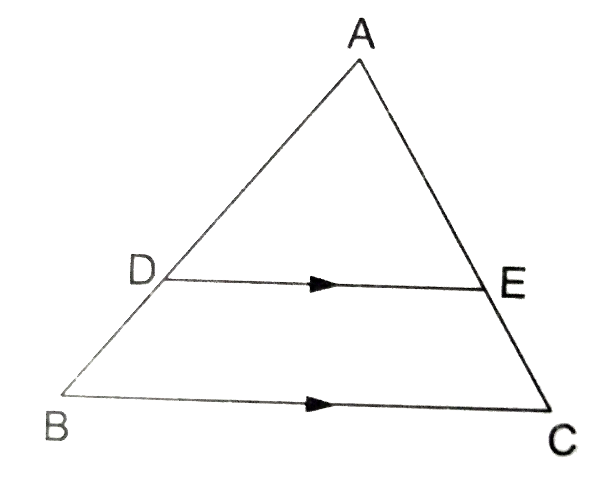 D and E are points on the sides AB and AC respectively of a Delta ABC such that DE||BC.   Find the value of x, when   (i) AD =x cm, DB=(x-2) cm,   AE=(x+2) cm and EC =(x-1) cm.    (ii)  AD=4 cm, DB =(x-4) cm, AE =8 cm   and EC=(3x-19) cm.   (iii) AD =(7x-4) cm, AE =(5x-2) cm, DB (3x+4) cm and EC= 3x cm.