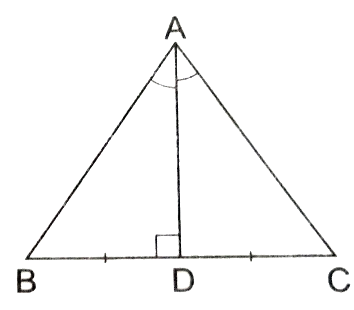 In an equilateral triagnle ABC, if AD  bot BC  then which of the following is true?