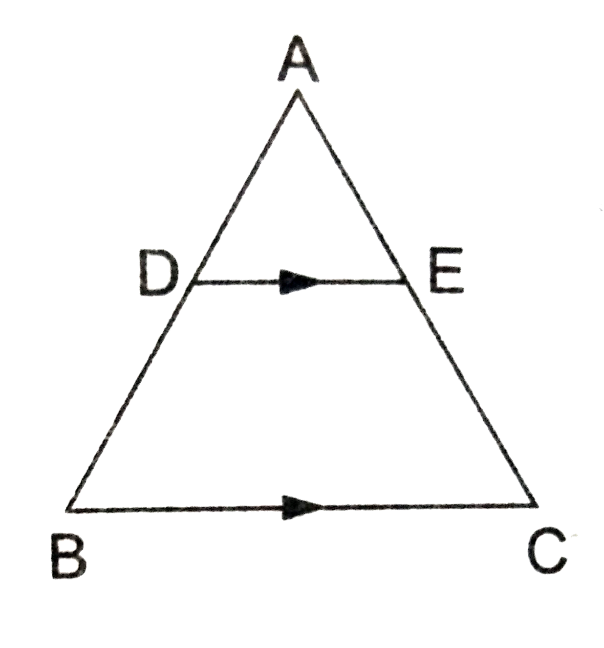 In Delta ABC , DE||BC such that (AD)/(DB)=(3)/(5) . If AC=5.6 cm then, AE=?
