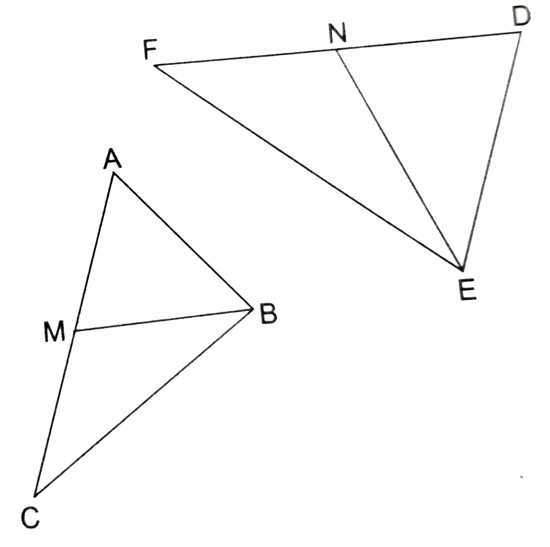 In the given figure, BM and  EN are respectively  the medians of Delta ABC and Delta DEF. If Delta ABC~ Delta DEF, prove that:   (a) Delta AMB ~ Delta DNE   (b) Delta CMB ~ Delta FNE   ( c) (BM)/(EN)=(AC)/(DF)