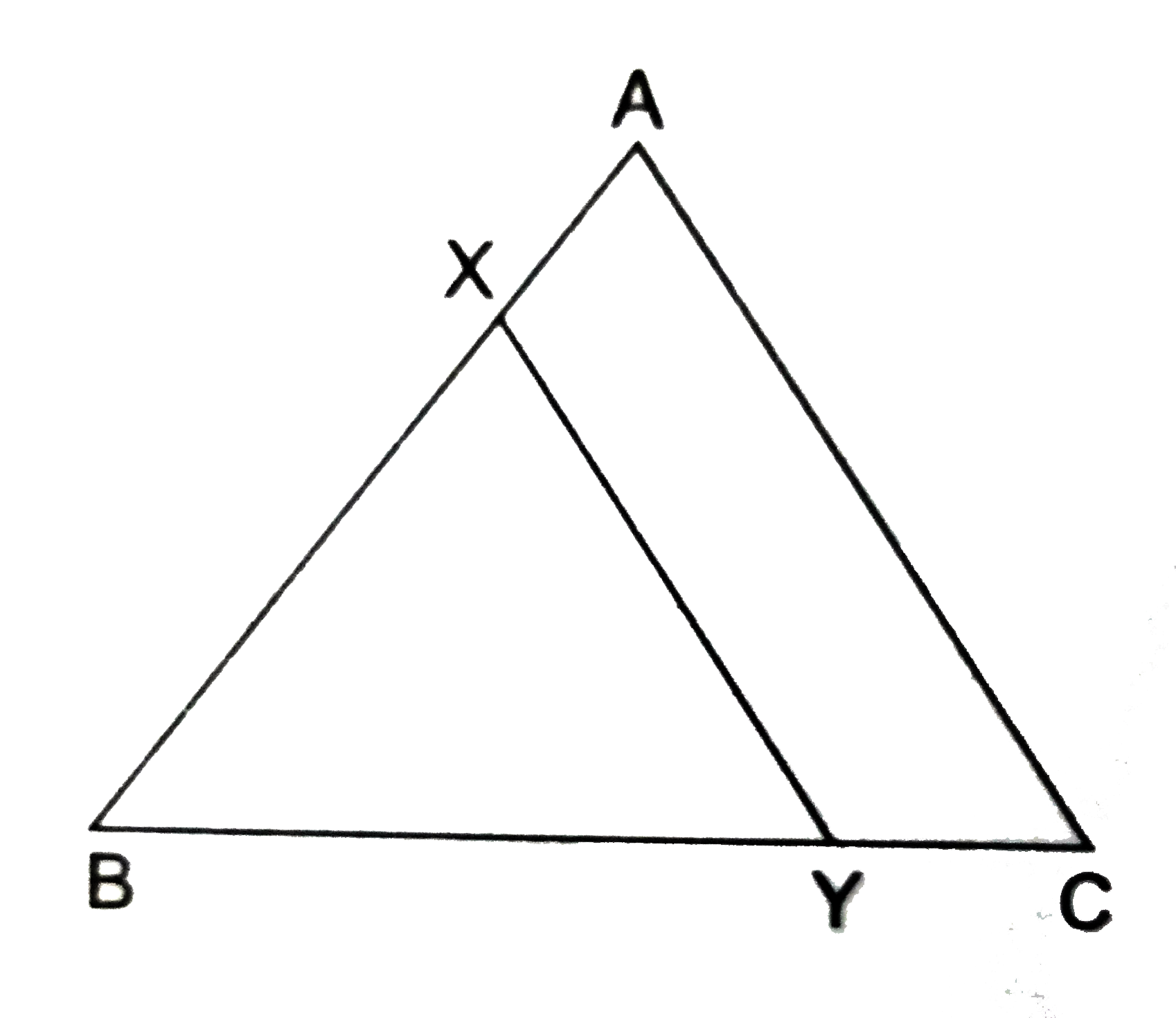 In the given figure, line the segment XY is parallel to side AC of Delta ABC and it divides the triangles into two parts of equal area. Prove that AX:AB=(2-sqrt(2)):2