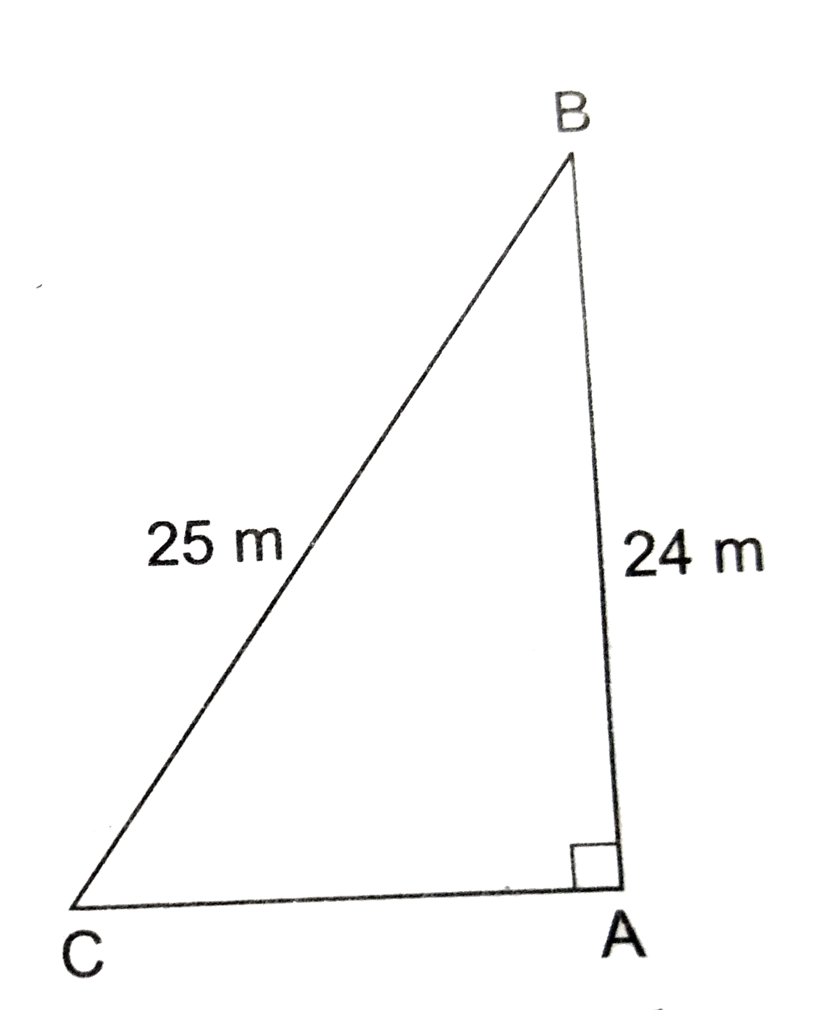 A Ladder 25 M Log Just Reaches The Top Of A Building 24 M High From The Ground What Is The Distance Of The Foot Of The Ladder From The Building