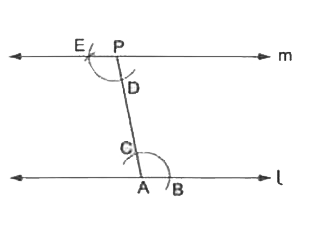 Draw a line parallel to a given line 1 and passing through a given point P.