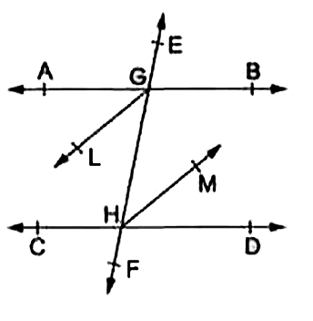 In the given figure AB||CD and a transversal EF cuts them at G and H respectively. If GL and HM are the bisectors of the alternate angles ANGLEAGH and  ANGLEGHD respectively prove that GL||HM
