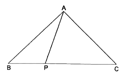 In the given figure ,P is a point on the side BC of triangleABC.Prove tat (AB+BC+AC)GT2AP