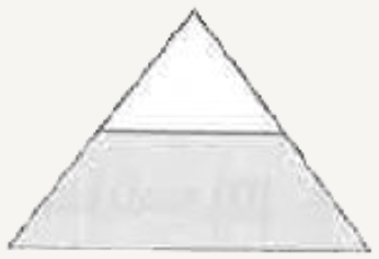 In the given figure. If we say that the shaded region is (1)/(2) of the whole, then what is the error in it?